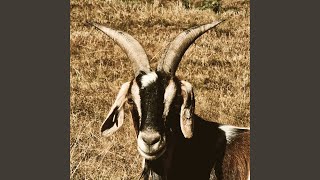 Download lagu 57DT.H03.27No055 mp3