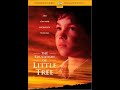 Opening To The Education Of Little Tree 2002 DVD