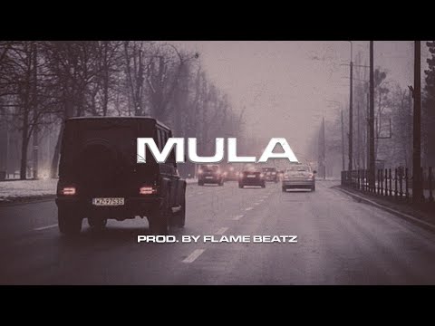 [FREE] Mero x Gzuz x Luciano x Dardan Type Beat - "Mula" Dark Trap Type Beat