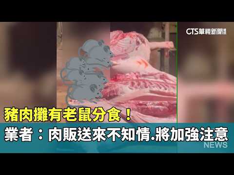豬肉攤有老鼠分食！　業者：肉販送來不知情　將加強注意
