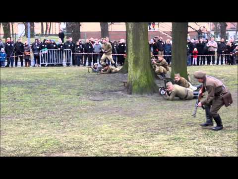 Narodowy Dzień Pamięci Żołnierzy Wyklętych, Oleśnica 2015 03 01. Pokazy grup rekonstrukcyjnych.