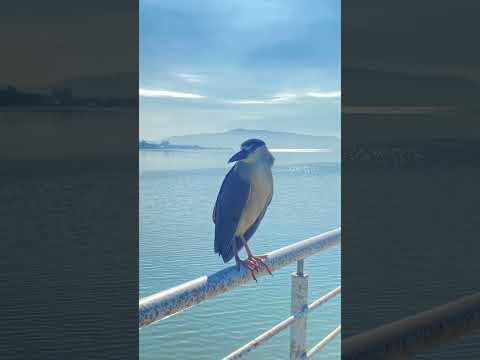 Centro histórico de São José Santa Catarina - Natureza