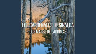 Esta De Parranda El Jefe - En Vivo