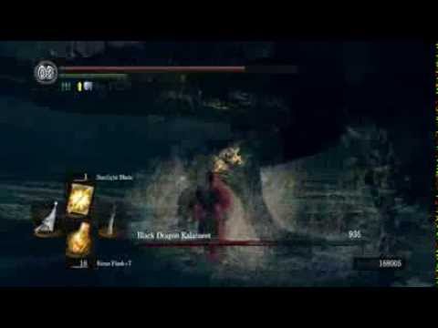 Dark soul prepare to die Black dragon kalameet NG+7