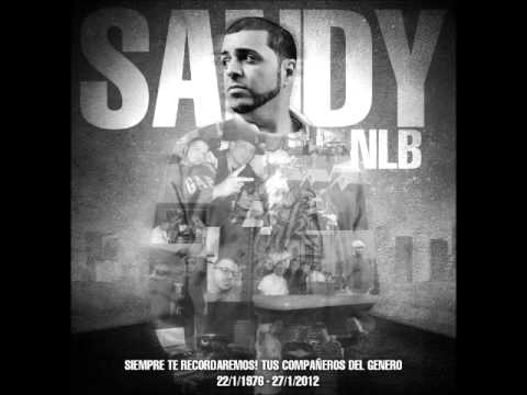 Cancion dedicada a Sandy NLB - No es un adios