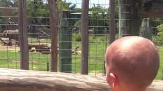 My Sons Are Not Gone; They're Just Dead