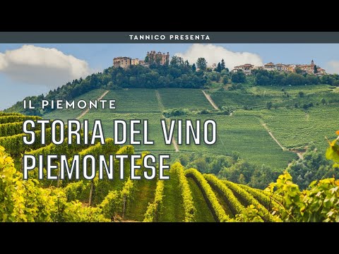 Storia del vino piemontese e tecniche di vinificazione | Tannico Flying School