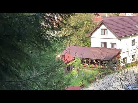 Pensiunea Domnescu, Sălişte - în pădure