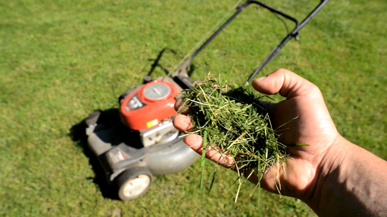Lawn Maintenance made easy!