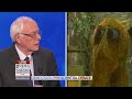Sanders On Elephants