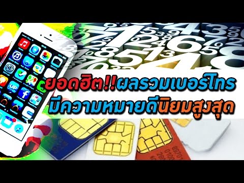 Detraleks ความอ่อนแอ ดิ๊กสีดำขนาดใหญ่และขนาดเล็ก