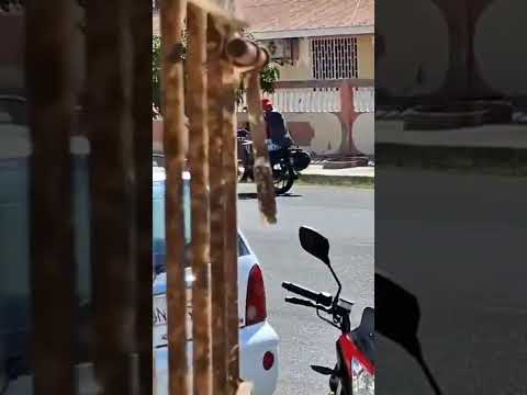 Santa Elena Delincuentes fueron captados robando en el cantón de Salinas.