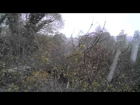 16:00 Hours. 26/04/2016.