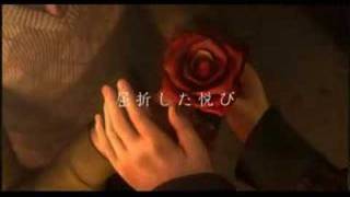Rule of Rose