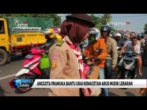 Mengajukan jari Wanita Pengobatan potensi madu dengan kenari