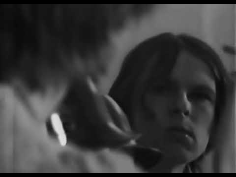 Ranking Lars von Trier: The Orchid Gardener (1977) & Images of Liberation (1982)