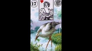 #17 The Stork - Lenormand Card Combinations
