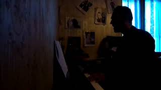 Veronica N.2 (cover Baustelle)