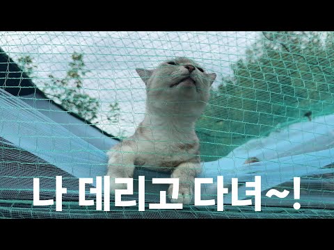 그냥 주머니에 넣어 다니고 싶다.