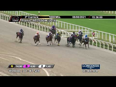 210808 c03 COISA LINDA (BRZ)