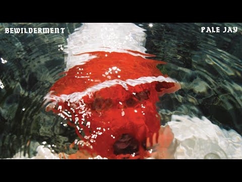Pale Jay - Bewilderment [FULL ALBUM STREAM]