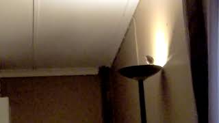 How we Created a Sanctuary for Birds on the Farm