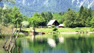 ROLLING HOME AGAIN  -  BUDGIE