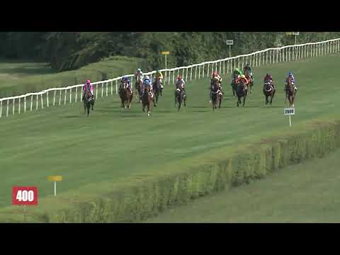 2020.08.30. 01. futam - KEZDŐ LOVAK VERSENYE -HERCEG FESTETICS TASZILÓ EMLÉKVERSENY (IV.kat.)