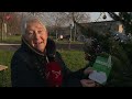 Kaarten met wensen voor dierbaren in grote kerstboom
