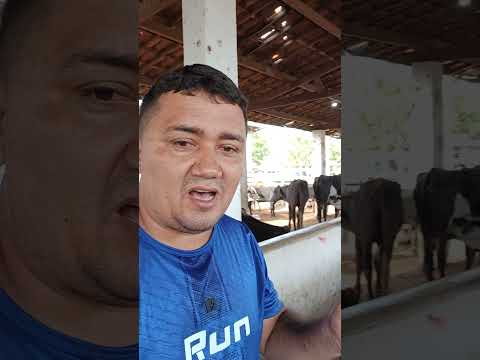 salgado no preço em Quixadá Ceará Feira de Santana