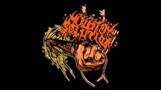 Molotov Solution - Song 3  (rare demo track)