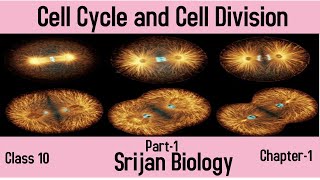 ICSE|Class 10| Biology|Chapter 1|Cell Cycle and Cell Division|Part-1