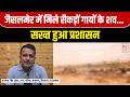 Jaisalmer Cow Death Case जैसलमेर में 500 गायों के शव खुल