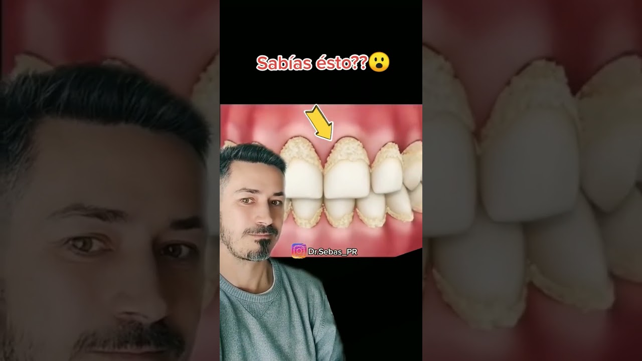 Sebastián Pérez Rolle-13