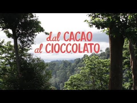 Dal cacao al cioccolato - The Fair Trade Cocoa Journey