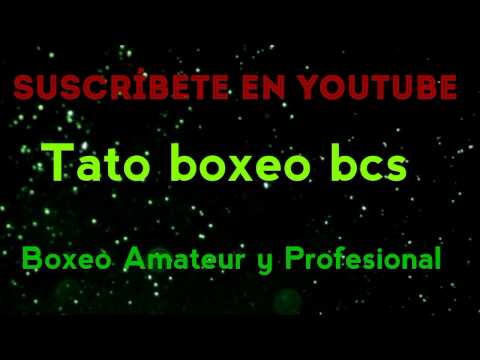 Nocauts con un golpe los mejores presente y pasado ko