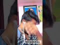 Tya Dihkshabhumi Var Bhiman Kelay Dhrmanatar