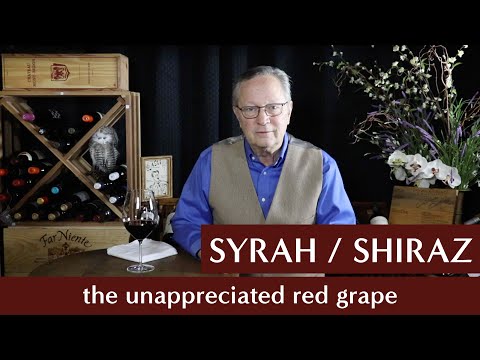 Noble Grapes - Syrah / Shiraz - The Unappreciated Red Grape