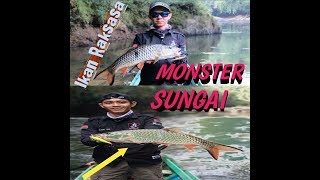 preview picture of video 'Mancing Mania, Ikan Monster'