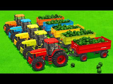 LOAD AND TRANSPORT BROCCOLI WITH JOHN DEERE TRACTORS & LOADERS - Farming Simulator 25