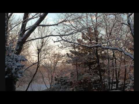 EWQL Symphonic Orchestra - Sleepymeeky. By Scott Harris