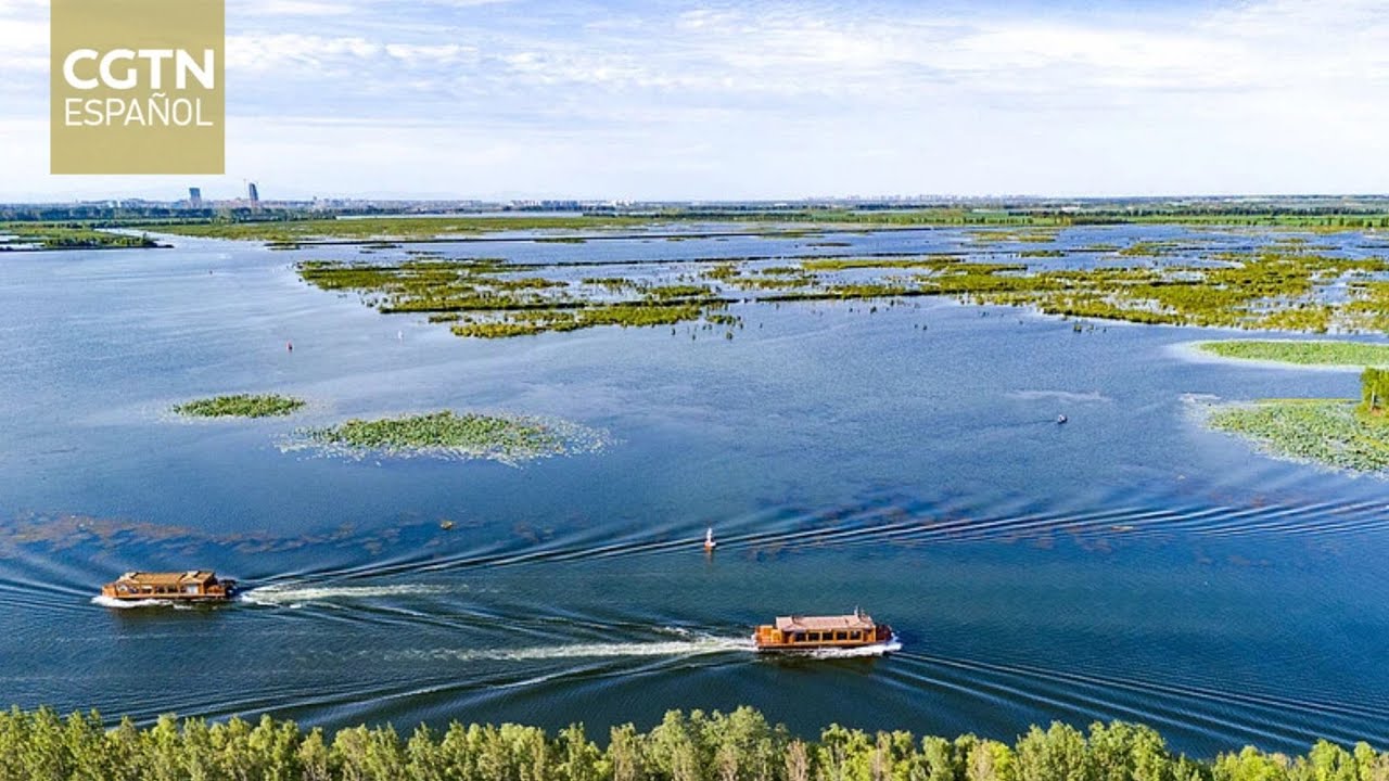 El Consejo de Estado publica un libro blanco sobre gobernanza climática