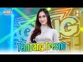 Fira Azahra Ft Ageng Music Tembang Tresno Official Live Music