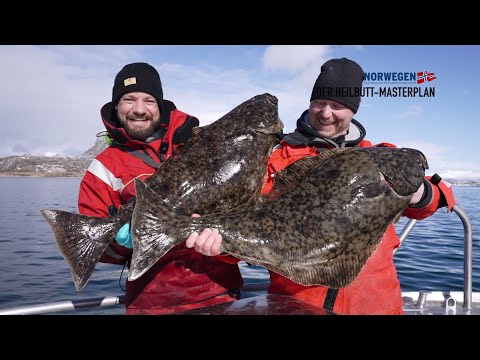 Norwegen-Magazin 1/22 mit DVD!