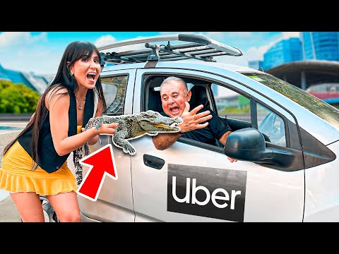 I TAKE EXOTIC ANIMALS TO PET-FRIENDLY PLACES TO SEE IF THEY'LL LET ME IN… PART 2