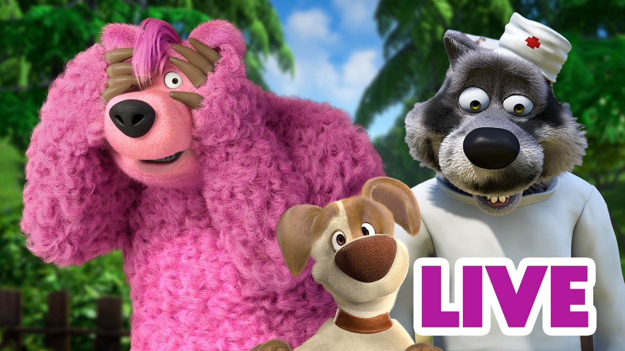 LIVE 🔴 ماشا والدب 🐻👱‍♀️ يا له من يوم أحد رائع! 🏡 انظر إليَّ