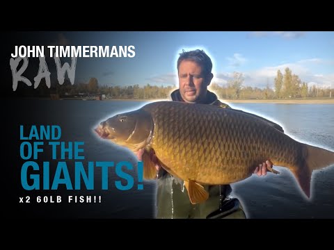 John Timmermans RAW | Public Lake Carp Fishing | October & The Land Of The Giants