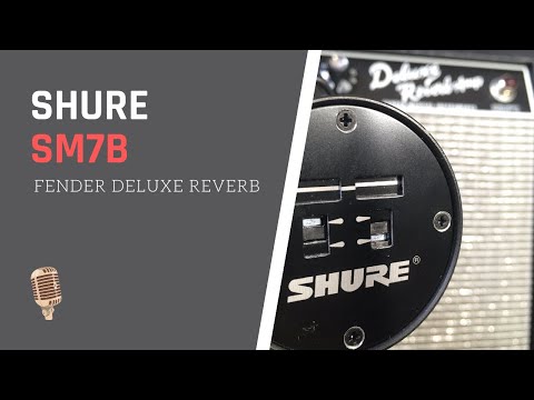 Shure SM7B Dynamic | Fender Deluxe Reverb 4 Ways To Mic a Guitar Amp (Recording Tips and Tricks) 🎸