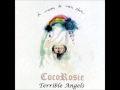 CocoRosie - Terrible Angels 