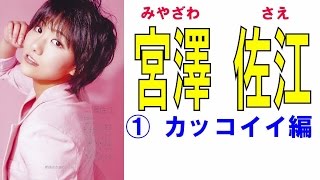 宮澤佐江☆SKE&SNH セクシー画像集① カッコイイ編